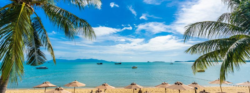 Beautiful tropical beach sea and ocean with coconut palm tree a Beautiful tropical beach sea and ocean with coconut palm tree and umbrella and chair on blue sky and white cloud for holiday vacation travel